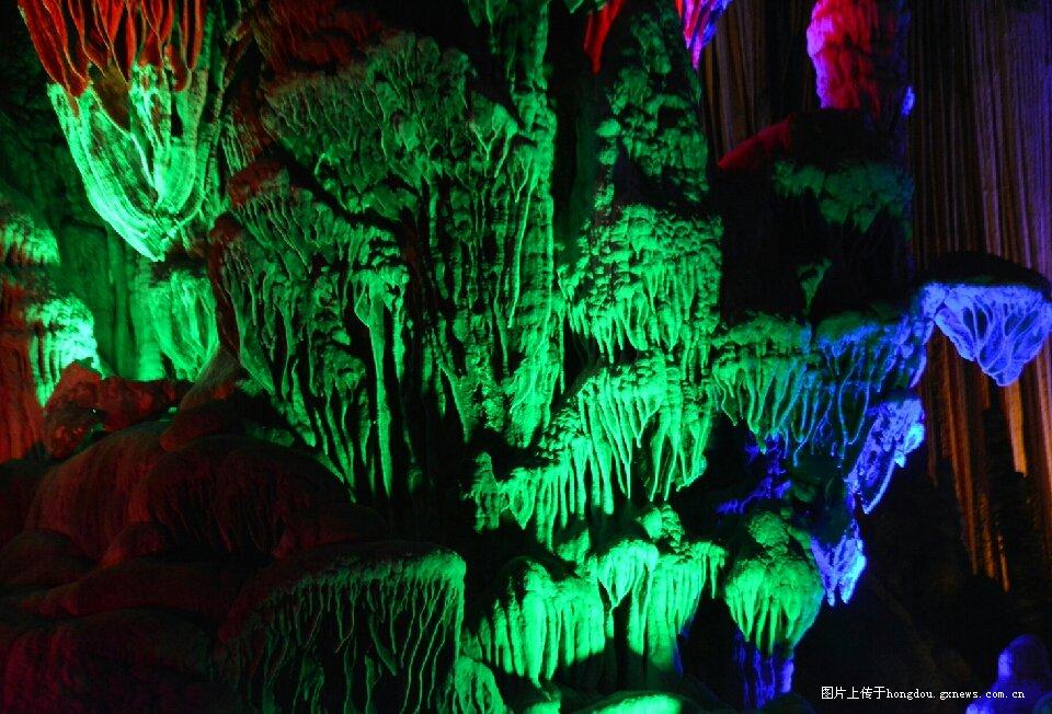 腔尾赣地巨龙!江西发现命名9000多万年前的恐龙新属种