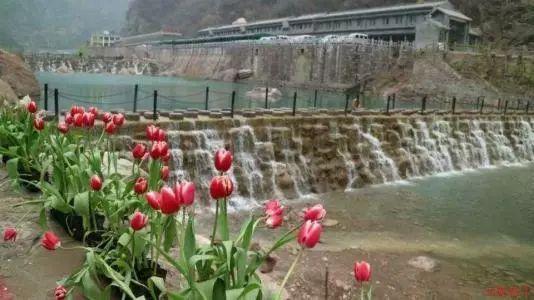 森迪公主的可爱装扮